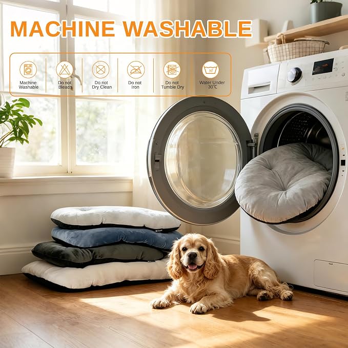 Washable Oval Small Dog Bed, Silver-Tipped High-Resilience, Light Gray | Non-Slip Bottom Prevents Sliding,Soft Plush Short Fur,Machine Washable Cushion,Ideal for Crates & Small Spaces,23"x17"x2.8"