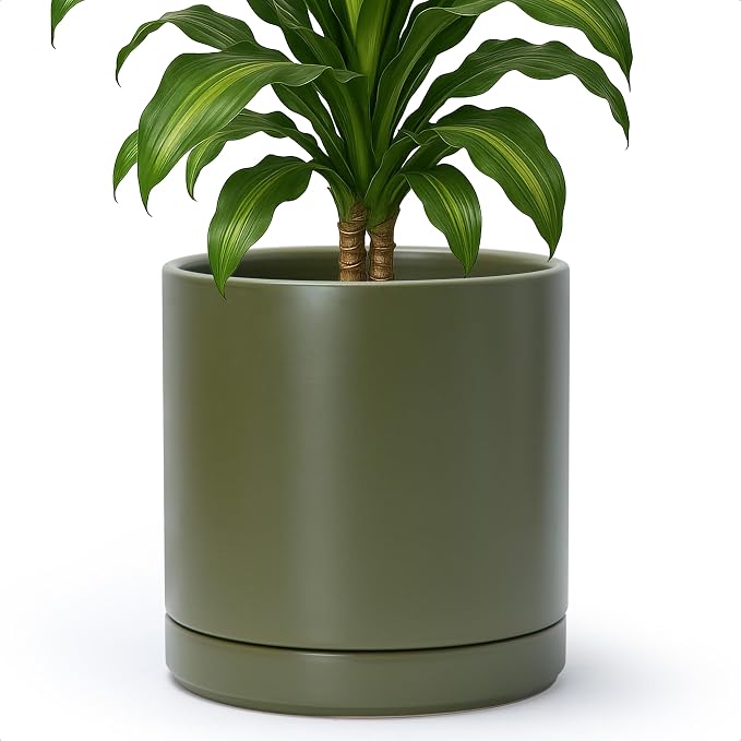 D'vine Dev 10 Inch Ceramic Planter Pot, Olive, 94-O-E-J | Modern Cylinder Design, Drainage Hole & Saucer Included, Stable Structure, Elegant Home Accent