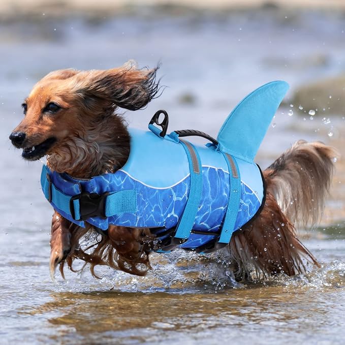 Shark Dog Life Jacket - High Buoyant Swimming Vest, Adjustable Easy-On for Small, Medium, Large Dogs (Blue, XL)