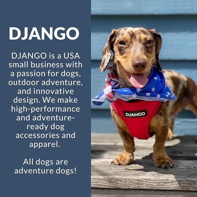 Adventure Dog Harness - Stylish and Comfortable Small Dog Harness for Outdoor Adventures and Everyday Wear - Black Neoprene Adjustable Harness for Dogs with Reflective Piping and Brass D-Ring