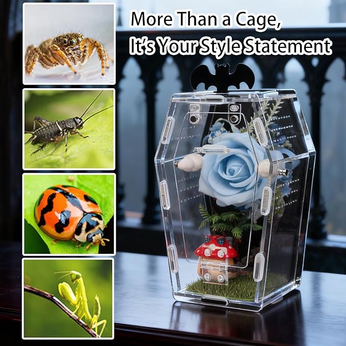 Coffin Shape Jumping Spider Enclosure, Acrylic Magnetic Terrarium with Feeding Hole, Front Opening Gothic Habitat for Tarantula Mantis Beetle