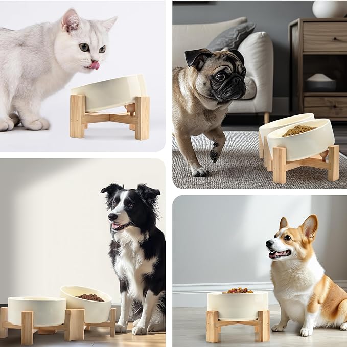 SPUNKYJUNKY 15° Slanted Ceramic Dog and Cat Bowl with Wooden Stand, Tilted Bulldog Food and Water Bowl No Slip Non-Spill for Cats Medium Dogs Big Face Pets 28.7 OZ (3.6 Cups, Beige × 2)