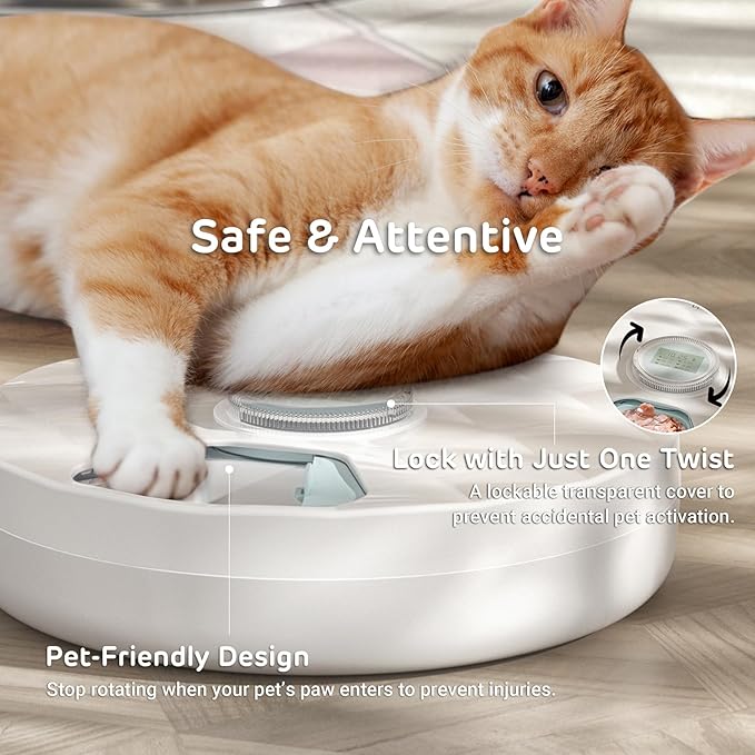 iPettie Brioche Automatic Wet Food Feeder for Pets with Two Ice Packs, Perfect for Newborn Senior Sick Cats and Small Dogs, Stainless Steel and PlasticTray