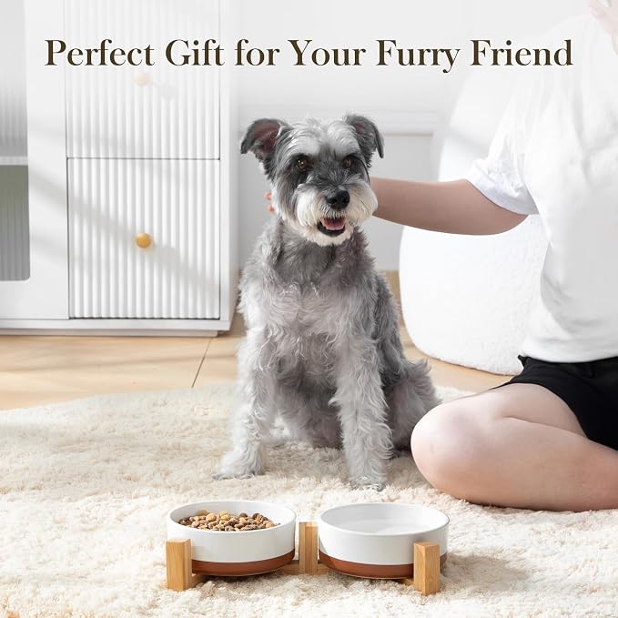 MALACASA Ceramic Dog Bowls Small Size Dog with Wood Stand, 1.5-Cup Ceramic Puppy Bowls for Cats & Small Dogs, Dual Food and Water Bowls with Weighted Non-Slip Base, Glaze Matte,14 Oz