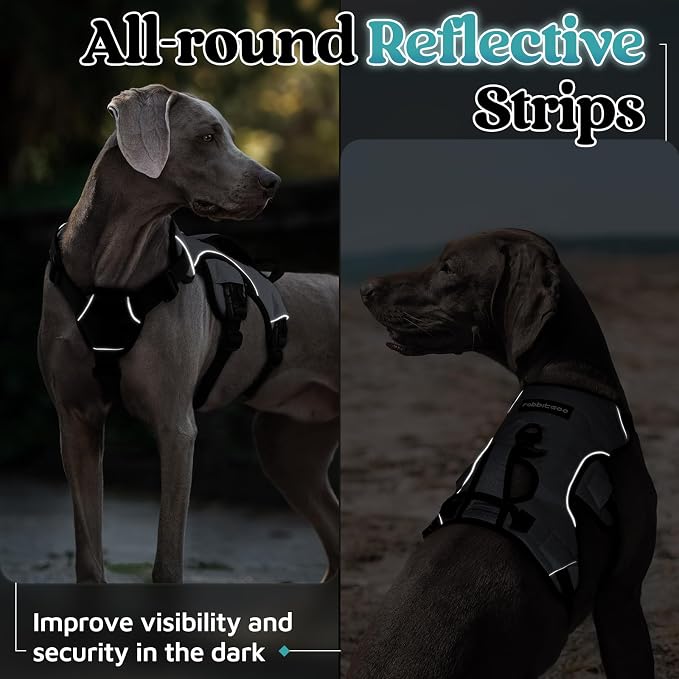 rabbitgoo Escape Proof Dog Harness for Large, No Pull with Lift Handle | No Escape, Full Soft Padded, Reflective Adjustable Vest, Leash Clip for Walking Hiking Training, Grey, Large