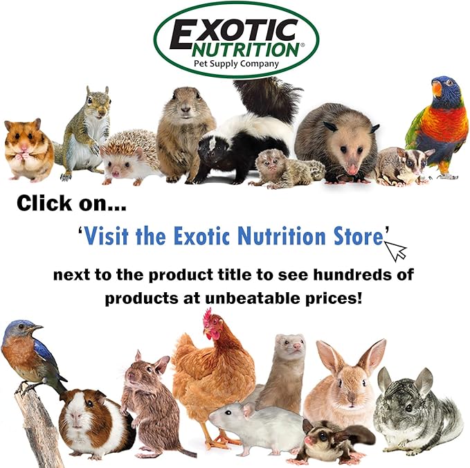 Exotic Nutrition Pet Warming Pad - Baby Aniamls, Sugar Glider, Squirrel, Opossum, Rabbit & Other Mammals