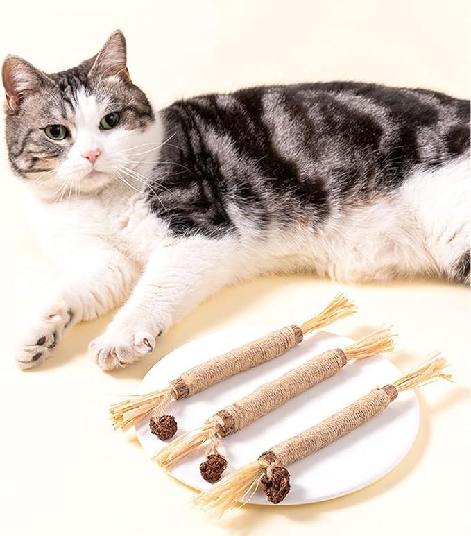 UBIETY Natural Silvervine Dental Sticks, silvervine Sticks for Cats,Natural Cat Chew Stick, Interactive Kitten Chew Playthings, for Indoor Kitty Nip Teeth Cleaning Dental Care Biting (10PCS)