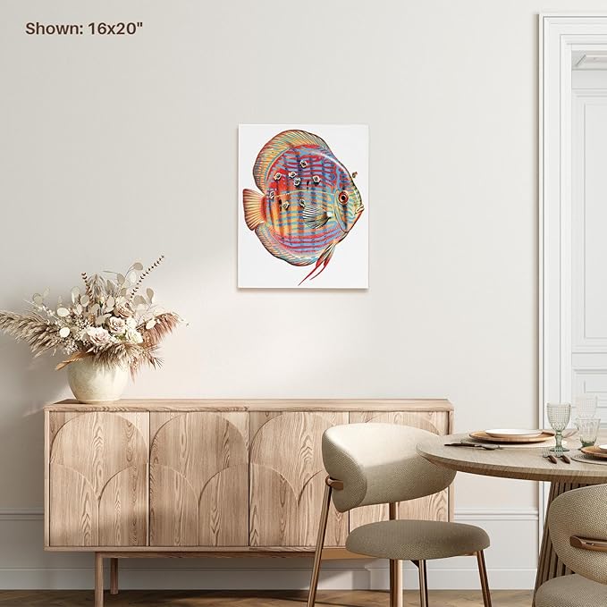 3dRose Discus Fish with Young Feeding off of the Parent fish Museum Grade Canvas Wrap 8x10