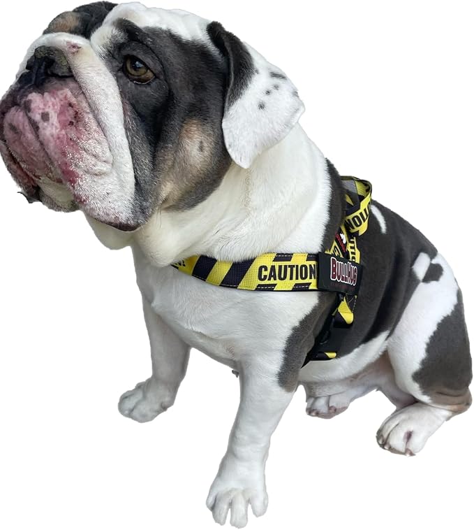Adjustable Dog Harness– No Pull, No Choke – for English Bulldogs, French Bulldogs, Pugs & Broad-Chested Breeds – Easy, Safe Walks (Caution, Small)