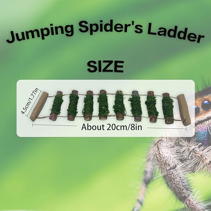 Jumping Spider Rope Bridge,A Solid Wood Climbing Suspension Bridge, a Jumping Spider Enclosure Accessory, Handmade, a Spider Jump Platform, Used As a Decorative Accessory for Small Reptile Enclosures