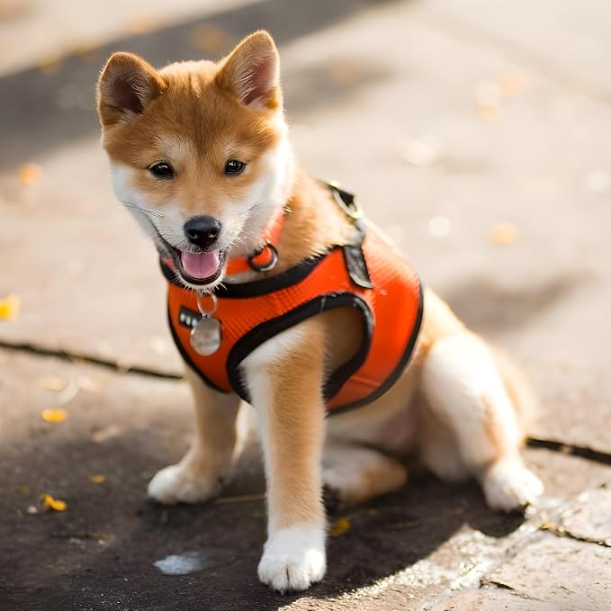 Puppia Soft Vest Dog Harness Step-in Padded Mesh No Choke No Pull Comfortable Walking Running Training for Small Medium Large Dogs, Orange, XXX-Large