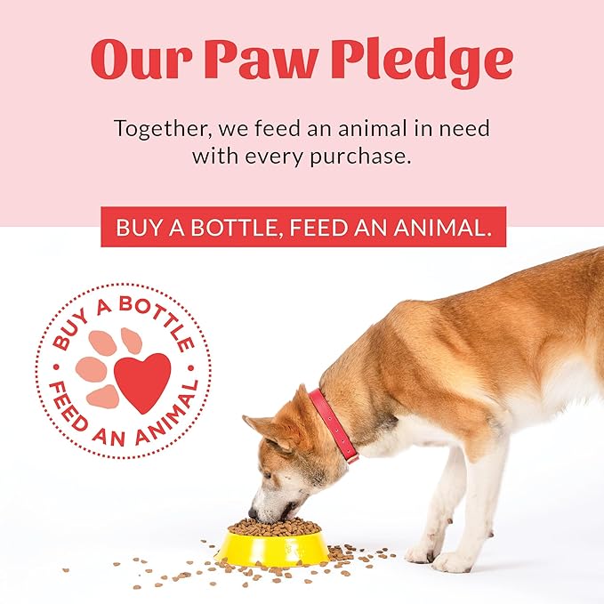 Skout's Honor Probiotic Dog Shampoo & Conditioner with Avocado Oil & Omega-3s, 97% Natural, Paraben & Sulfate-Free, Cruelty-Free, 16oz, Honeysuckle 2-Pack