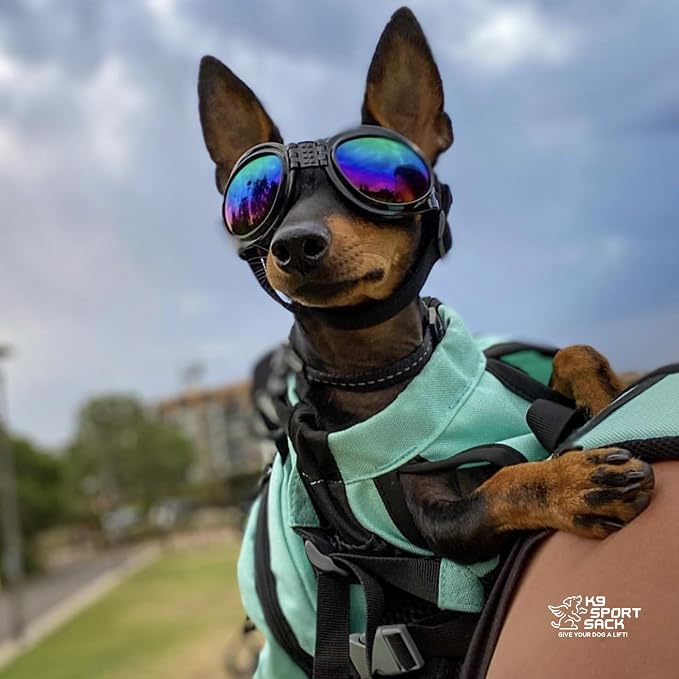 K9 Sport Sack Plus 2 - Large, Summer Mint - Ideal for Dogs 20-22” Long - Adjustable, Backpack-Style Carrier with Multi-Functional Storage Pack, Thick Shoulder Straps & Padded Back Panel