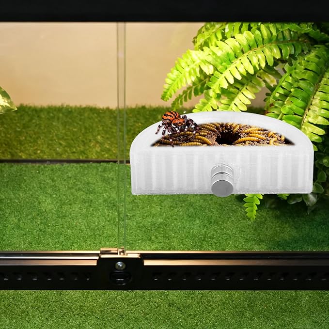 5pcs Jumping Spider Feeding Dish Kit, Magnetic Half Round Jumping Spider Food Feeder Water Bowl Dispenser Leak-Proof Enclosure Accessories Hide Decor for Tarantula Mantis Small Reptiles