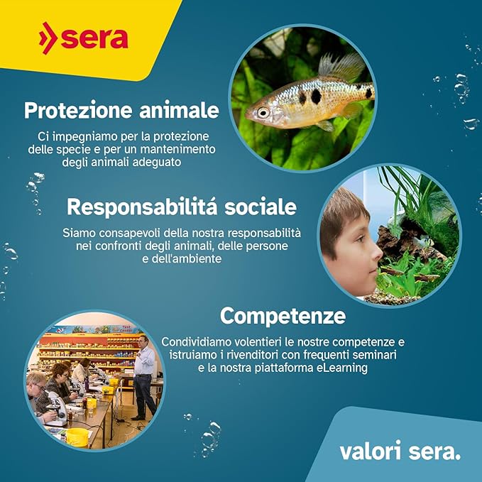 Sera Discus Granules Nature 10l (147,1 oz) | Main Feed for All Discus & Ornamental Fish | Rich in Aquatic Proteins & Minerals | No Dyes or Preservatives | Boosts Growth, Health & Fertility