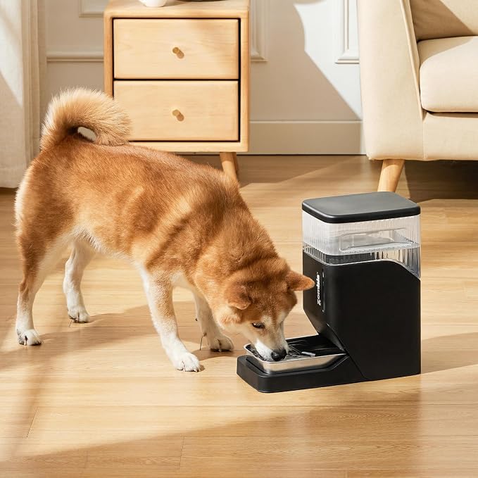 ZOMISIA Automatic Dog Water Dispenser 8L with Stainless Steel Bowl, Gravity Large Capacity Water Bowl for Dogs, 2 Gallon Pet Waterer 100% BPA Free, Black