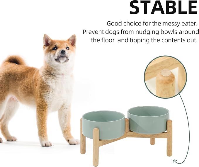 Havniva Elevated Dog Bowls Ceramic Dog Bowls with Stand, Dog Food Bowl | 6.1” Raised Dog Bowls with Non-Slip Wood Stand, Dog Food and Water Bowl Set, Double Dog Feeding Bowls for Small & Medium Dogs