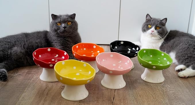 Green Mushroom Cat Bowl, Elevated Ceramic Bowl for Cats | Elevated, Ceramic, Whisker Friendly, Wide Opening, Anti Vomiting