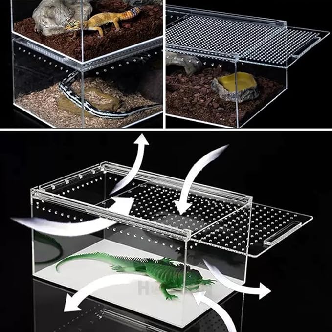 Insect breeding Box Reptile Feeding Box, Waterproof Enclosure Enclosure for arboreal Tarantula Scorpion Sling Lizards Snake Gecko Jumping Spider Snail Isopods, Reptile breeding Box (8x6x4 Inch) 