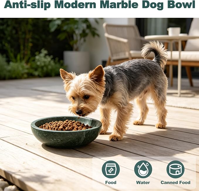 Natural Marble Cat Bowl, Weighted 1.5lb Cat Food Bowl for Cat and Small Dog, Small Animal Pet Food Dish Non-Slip, Shallow Dish for Whisker Fatigue Relief, Premium Green Stone for Home Decor