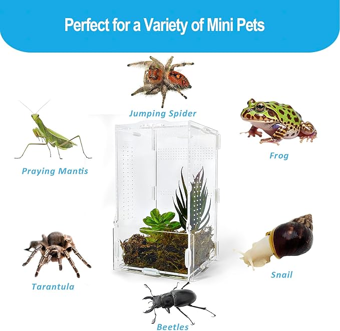 Jumping Spider Enclosure, Arboreal Tarantula Enclosure, Praying Mantis Terrarium Critter Cage for Jumping Spider, Tarantula Slings, Snail, Isopods, Beetles, Millipedes, Springtails
