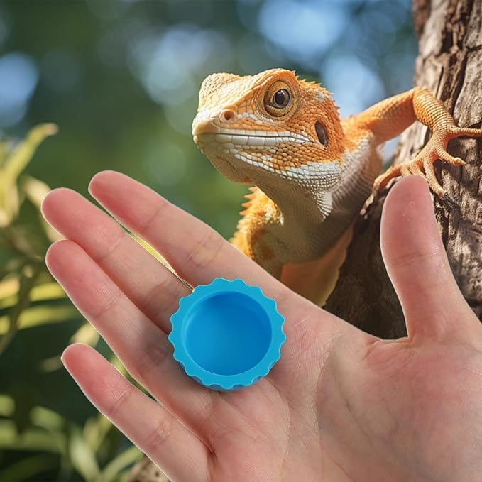 12 Pack Crested Gecko Food Dish Small Silicone Reptile Feeding Cups Water Bowl, Easy Clean Crested Gecko Tank Accessories for Hermit Crab, Tarantula, Isopods, Snails and Lizard(6 Colors)