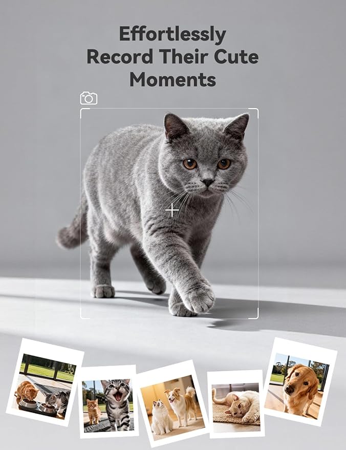 WOPET Automatic Cat Feeder with Camera for Two Cats, 6L Automatic Dog Feeder with HD Video and Night Vision, 5G/2.4G WiFi Pet Feeder for Cats & Dogs, SD Card Storage & 2-Way Audio