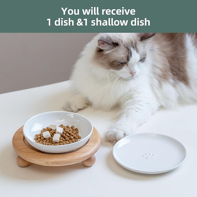 Havniva Elevated Cat Bowls, Cat Food and Water Bowl Set, Ceramic Cat Bowl | Raised Cat Food Bowls, Whisker Friendly, 5.6” Shallow Cat Dishes + 6” Wide Cat Plates, Non-Slip Wood Stand, Two Heights