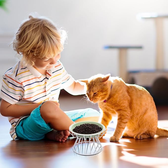 Hushee 6 Pcs Raised Cat Bowls Elevated Ceramic Cat Food Bowls with Metal Stand Anti Vomit Feeding Dishwasher Safe Shallow Ceramic Water Food Plate for Kitten Small Dogs