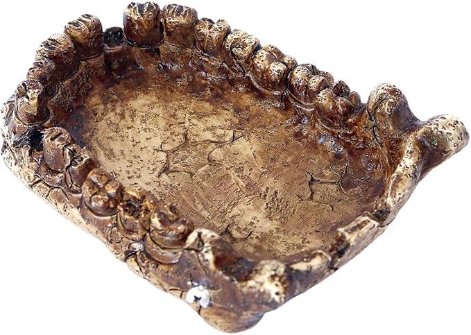 Reptile Feeding Dish Bowl,Reptile Rock Food/Water Dish for Reptiles,Amphibians,Bearded Dragon,Lizard,Frog,Gecko,Tortoise,Hermit Crab and Other Little Critters, Made from Premium Resin