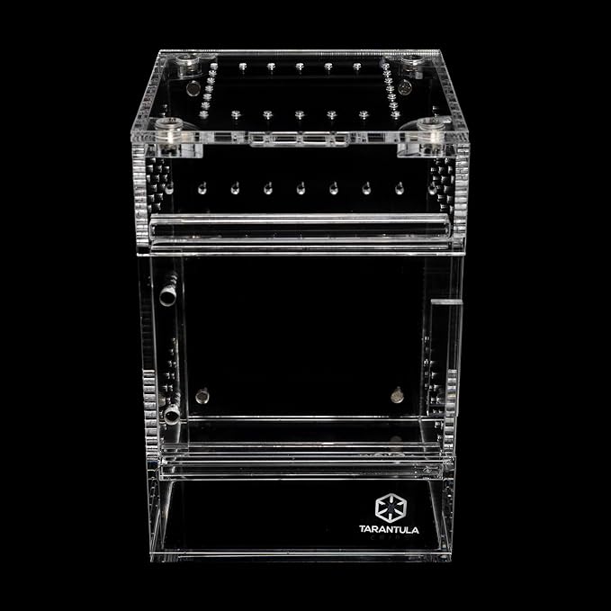 Tarantula Cribs Treehouse Switch Small 4x4x6