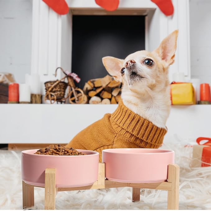 Elevated Ceramic Dog Bowl, 2 Cups Dog Food and Water Bowl Set with Stand | 5.1'' Double Dog Feeding Dishes, Non-Slip Raised Dog Feeder for Cats and Puppies, 16.23 OZ / 480 ML, White