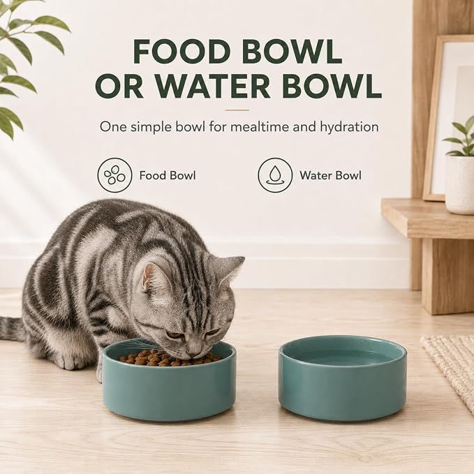 Havniva Cat Bowls Set of Two, 5.1” Ceramic Cat Food and Water Bowls | Cat Food Bowls Whisker Friendly, Non-Slip Base, Food-Grade Ceramic, Wide Opening, Dishwasher Safe, Cat Bowls for Indoor Cats
