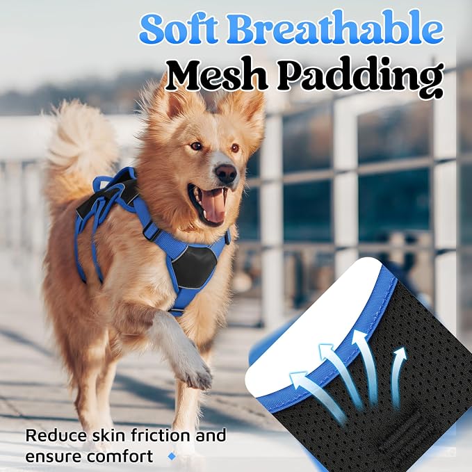 rabbitgoo Escape Proof Dog Harness for X-Large, No Pull with Lift Handle | No Escape, Full Soft Padded, Reflective Adjustable Vest, Leash Clip for Walking Hiking Training, Blue & Black, X-Large