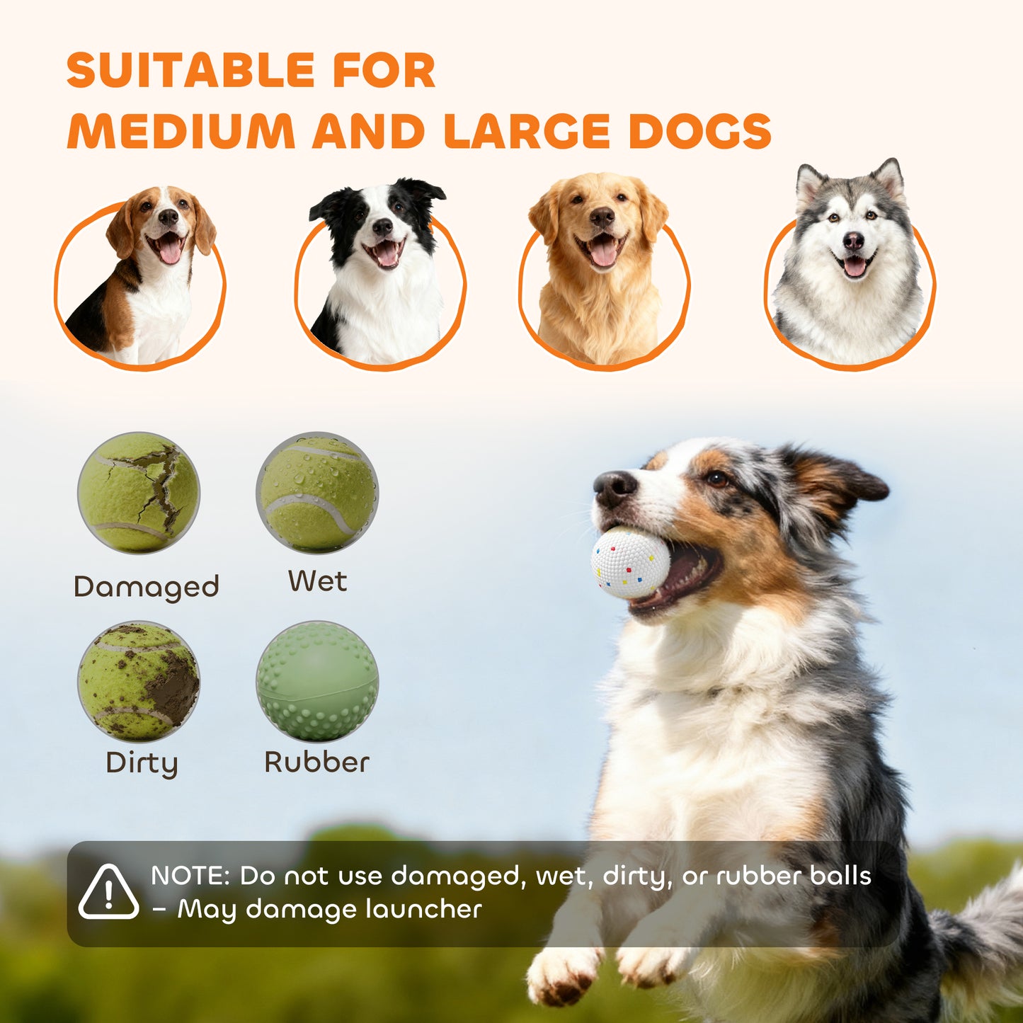 ba5772ed6c57432876fff839b5341cbc