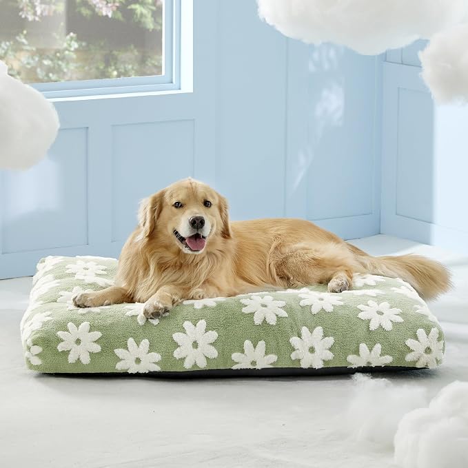 LE SURE Extra Large Dog Bed-Thick Shredded Chopped Foam Pet Bed Indoor with Removable Cover, Cute Modern Fuzzy Plush & Anti Slip Bottom, Green | Shredded Chopped Foam,Modern Plush Crate Cushion Gift for Extra Large Dog, Waterproof Washable Cover, Anti ...