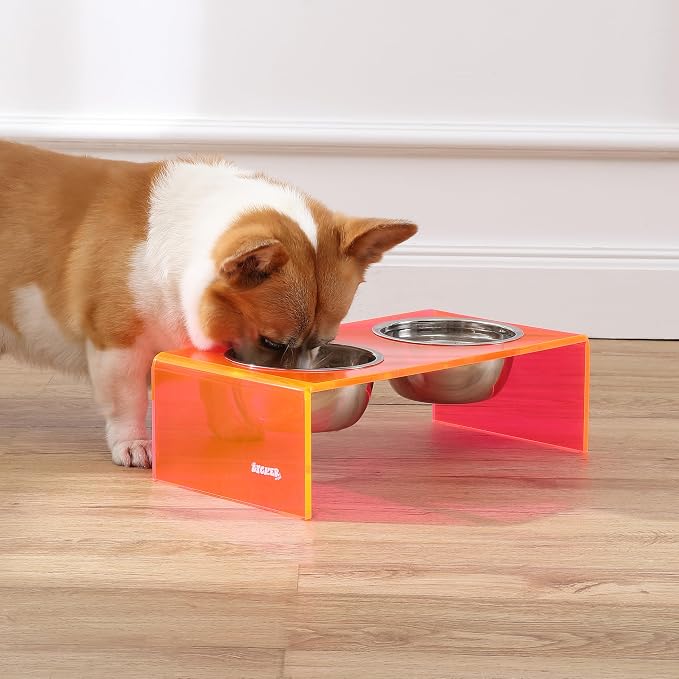 DBL2000E Keaton 5" Small/Medium Modern Acrylic Rectangular Elevated Pet Feeder with 20oz 2-Stainless Steel Bowls, Pink/Chrome