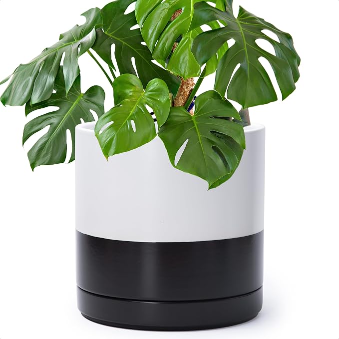 D'vine Dev 10 Inch Ceramic Planter Pot, Black White Two Tone, 94-O-E-L | Modern Cylinder Design, Drainage Hole & Saucer Included, Stable Structure, Elegant Home Accent