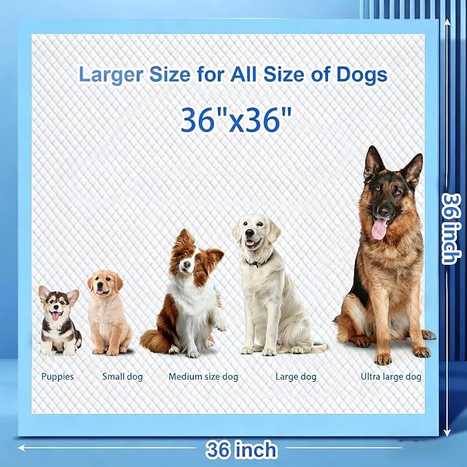 XXXXL Puppy Pee Pads for Dogs 36"x36" 60 Count, Extra Large Dog Pee Pads, Leak-Proof & Super Absorbent Dog Pee Pads, Thicken Disposable Potty Pads Puppy Training Pads for Cats Rabbits