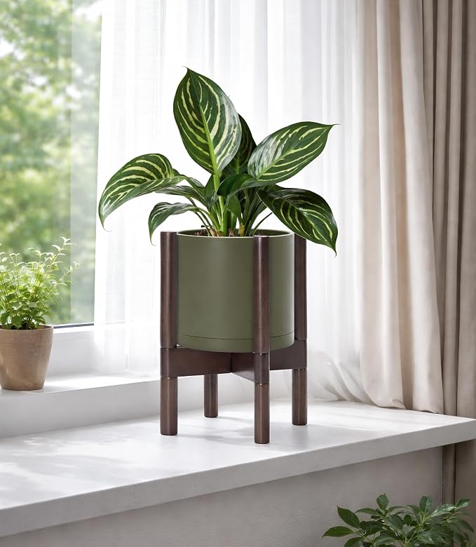 D'vine Dev Plastic Pot with Walnut Wood Stand, Olive, 8 in, 55-C-I-3 | Mid-Century Inspired Design, Elevated Plant Display, Clean Lines, Sturdy Support, Modern Space-Saving Style