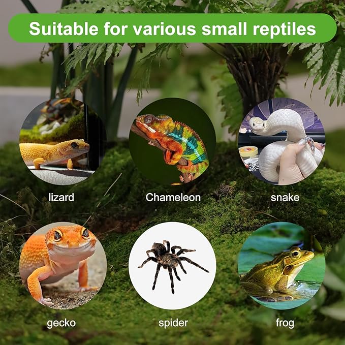 9 Pcs Crested Gecko Food and Water Bowl Small Reptile Food Dish Reusable Silicone Reptile Feeding Cup Gecko Feeder Corner Water Bowl Habitat Tank Starter Accessories for Hermit Crab Tarantula Isopods