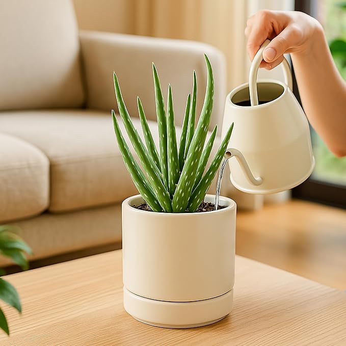 D'vine Dev 4.7 Inch Ceramic Planter Pot, Oatmeal, 94-O-B-8 | Modern Cylinder Design, Drainage Hole & Saucer Included, Stable Structure, Elegant Home Accent