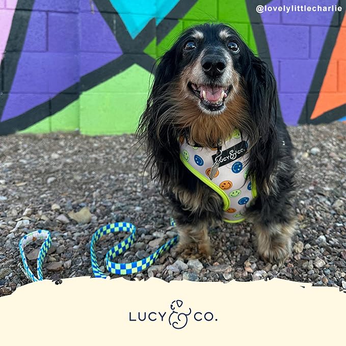 Lucy & Co. Reversible Dog Harness - Water-Repellent Neoprene, Dual-Print Design, Easy Swap Style, Adjustable Comfort Fit - Have a Nice Day Reversible Harness - Small