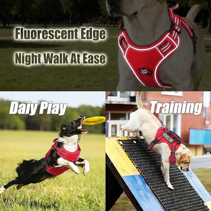 Service Dog Tactical Vest Harness and Leash Set Large Sized Dog Emotional Support- Tactical Dog Harness Training Collar with Name (Red, S)