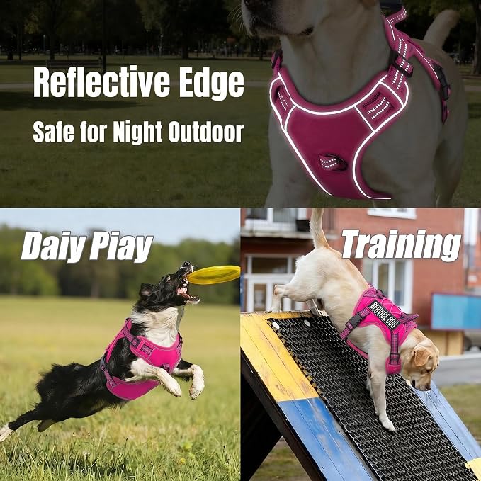Service Dog Tactical Vest Harness and Leash Set Large Sized Dog Emotional Support- Tactical Dog Harness Training Collar with Name (Rose Red, S)
