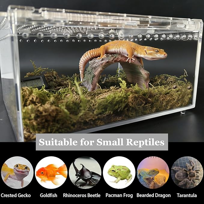 Reptile Terrarium Gecko Tank Tarantula Enclosure Acrylic Spider Terrarium Hermit Crab Tank for Scorpion Insect Isopods Invertebrates Insect (Small)