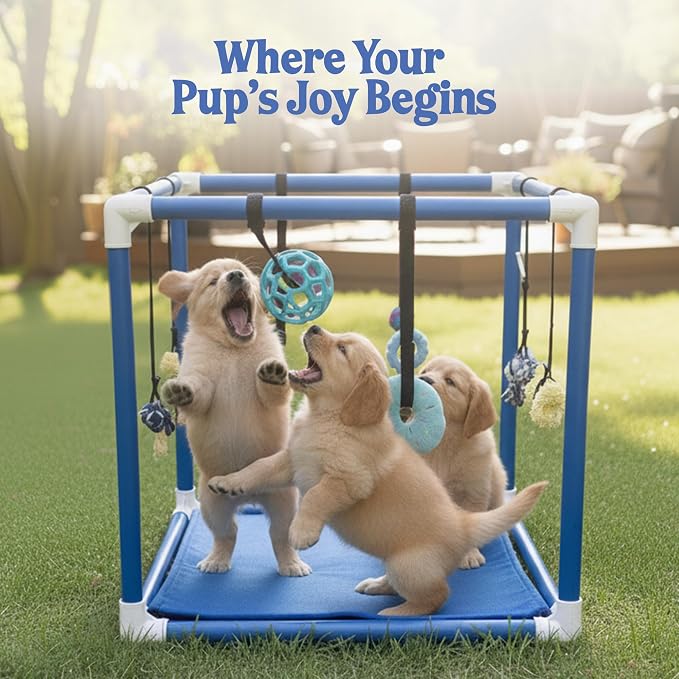 Race&Herd 19.5" Puppy Play Gym — Small Dog Jungle Activity Mat (Ocean) | Dog Play Mat with 8 Bungee Straps, Interactive Puppy Active Toys — Indoor Enrichment Playground Set