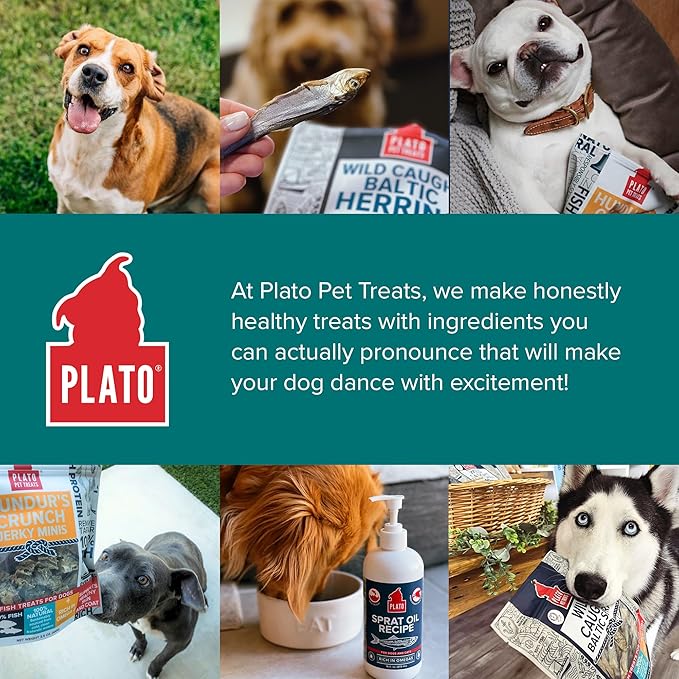 Plato Pet Treats Fish Dog Treats - Air-Dried, Single Ingredient Pet Treat - Omega 3 & 6 Fatty Acids to Support Skin and Coat - 100% Whole Fish - Wild Caught Baltic Herring - 3oz - 2 Pack