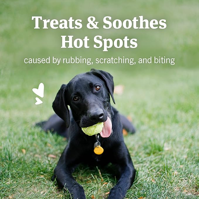PetArmor Hot Spot Skin Remedy for Dogs, 4 oz (Pack of 2)