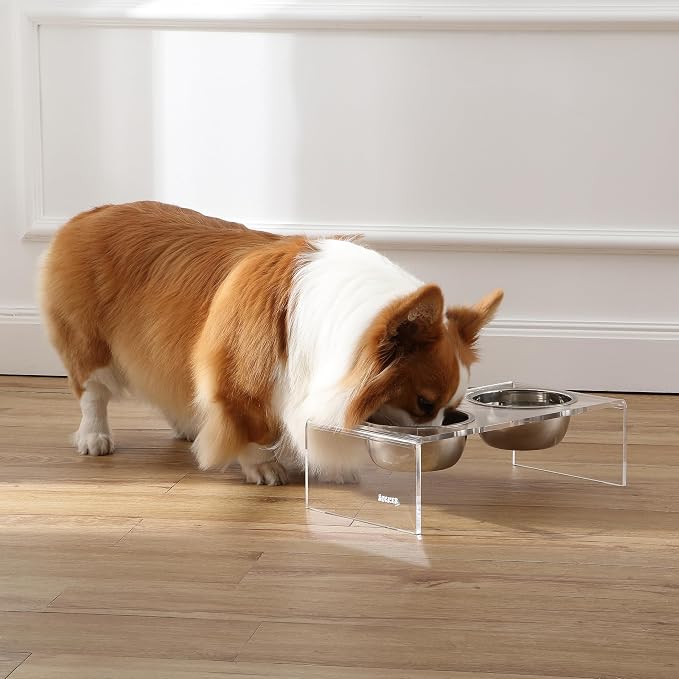 DBL2000A Keaton 5" Small/Medium Modern Lucite Rectangular Elevated Pet Feeder with 20oz 2-Stainless Steel Bowls, Clear/Chrome